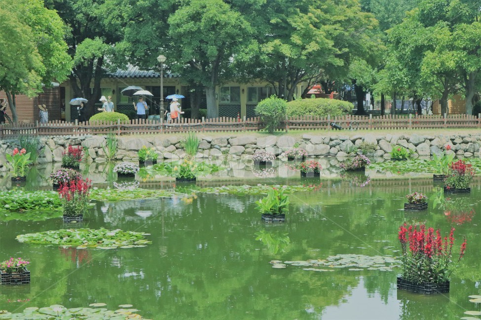 대릉원,호수,감성,여름,옥외,nature,자연,풍경,휴식,경주관광지,경주명소,경주풍경,힐링,배경,초록색,경주,여름호수
