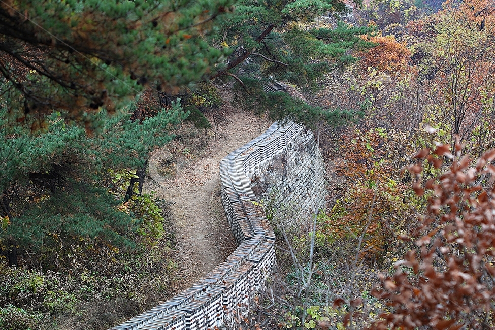 남한산성,성,성곽,단풍,낙엽,길,둘레길,숲,숲길,담,돌담,가을,자연,풍경,벽,울긋불긋,산성,식물,가을,계절,fall,autumn,season