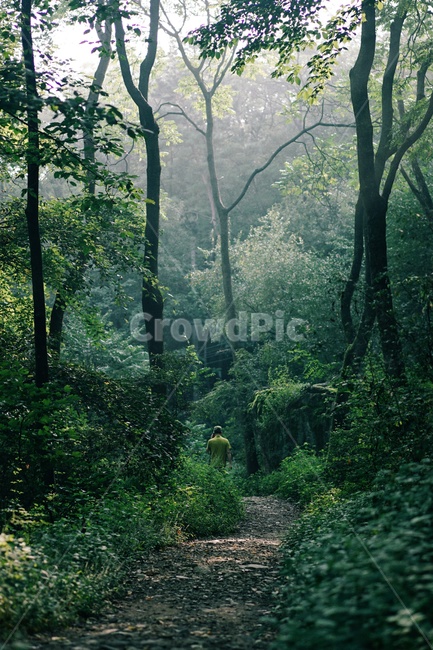 식물,자연풍경,꽃,사람,감성사진,여행,등산,여름,자연,풍경,nature,landscape,사람,인물,인간,human,person,감성,sensible,feeling,vegetation,초목,plant,outdoors,옥외,land,땅,woodland,삼림지,tree,나무,forest,숲,jungle,밀림,rainforest,열대 우림