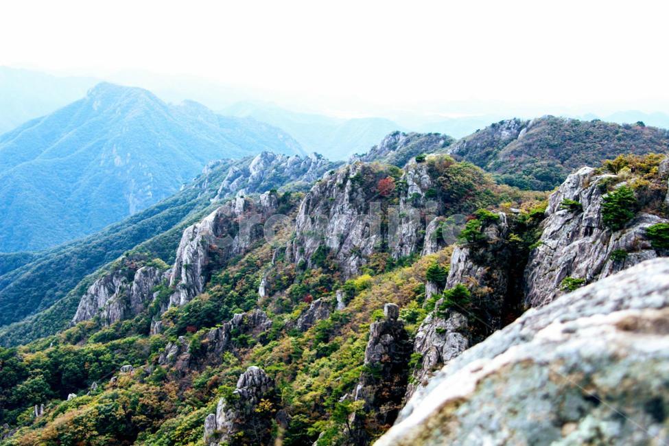 가을,풍경,산,바위,나무,자연,풍경,nature,landscape,한국자연풍경,한국자연경관,korea nature landscape,slope,경사,outdoors,옥외,mountain