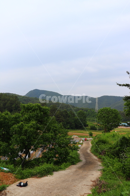 시골,길,시골길,초록색,자연,나무,풀,하늘,산