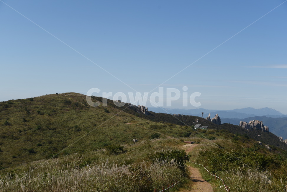 자연,outdoors,천관산,능선,억새,풍광,장흥,nature,slope,자연,풍경,nature,landscape,한국자연풍경,한국자연경관,korea nature landscape,경사,옥외,hill,언덕