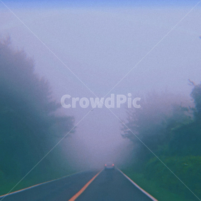 도로,안개,빈티지,감성,foggy,road,어두운,우울한,gloomy,cloudy,misty,몽환적인,dreamy,배경흐림,흐린,길