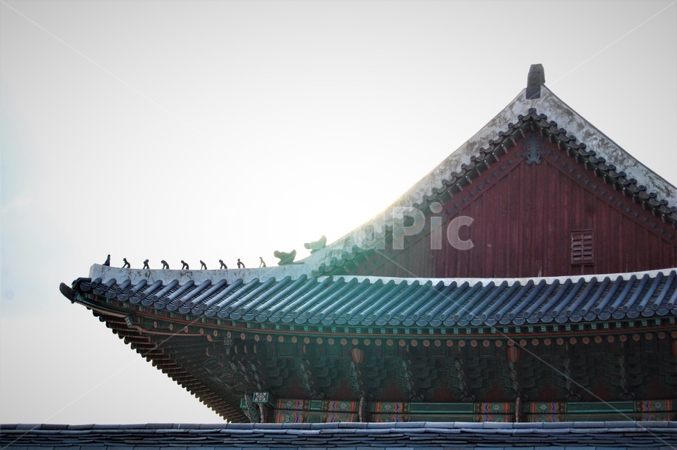 창덕궁,기와,처마,한국,궁궐,문화유산
