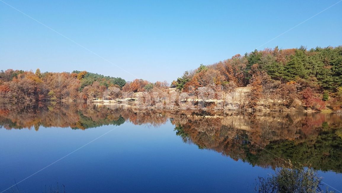 배경,가을,한국,횡성,호수,데칼코마니