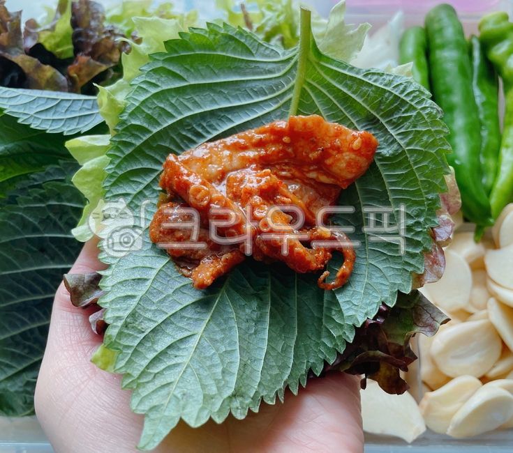 쭈삼불고기,쭈꾸미불곡기,쭈꾸미,고추장불고기,제육볶음,두루치기,쭈꾸미두루치기,볶음,쭈꾸미제육볶음,쭈꾸미볶음,돼지고기,돼지,고기,육류,식사,쌈채소,쌈,야채,채소,깻잎,상추,상추쌈,음식,고기쌈,food,meal,pork,meat,lettuce,vegetable