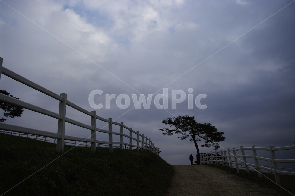 목장,울타리,하늘,나무,풍경,자연,풍경,nature,landscape,사람,인물,인간,human,person,handrail,난간,banister