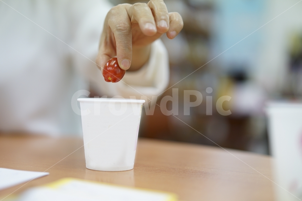 손,손가락,과일,방울토마토,레드,간식,비타민,토마토,종이컵,일상,휴식,충전,달달,푸드,건강,사람,인물,인간,human,person,신체일부,몸,body,음식,식재료,요리,food,cook,meal,dishes,food reserves,채소,야채,vegetables,연출,컨셉,콘셉,direction,concept