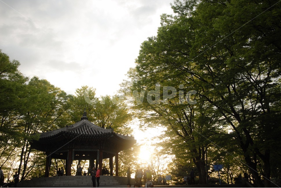 한옥,정자,하늘,풍경,나무,감성,노을,초록,자연,풍경,nature,landscape,한국자연풍경,한국자연경관,korea nature landscape,flare,플레어,light,빛,human,인간,person,사람