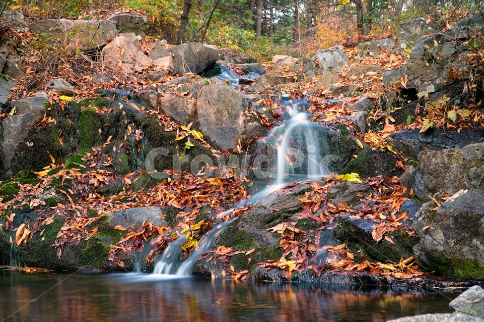 계곡,무지랭이계곡,경기도,경기북부,의정부,자연,가을,autumn,fall,11월,낙엽,물,water,나무,바위,돌,암석,tree,nature,rock,valley,한국,한국자연,korea,november,leaves,가을,계절,fall,autumn,season,자연,풍경,nature,landscape,river,강,outdoors,옥외,waterfall,폭포