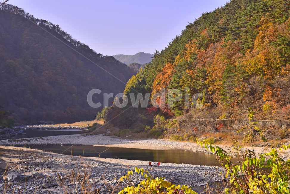 maple forest,healing,mountain,fall,season,Korean natural scenery,nature,autumn background,autumn scenery,water,outdoor,Gangwondo,environment,outdoors,river water,Maple Mountain,clean area,autumn,autumn mountain