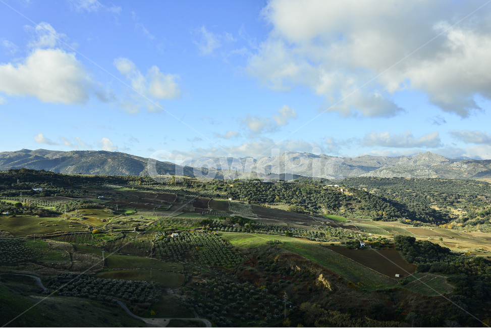 nature,자연,outdoors,옥외,landscape,경치,scenery,풍경