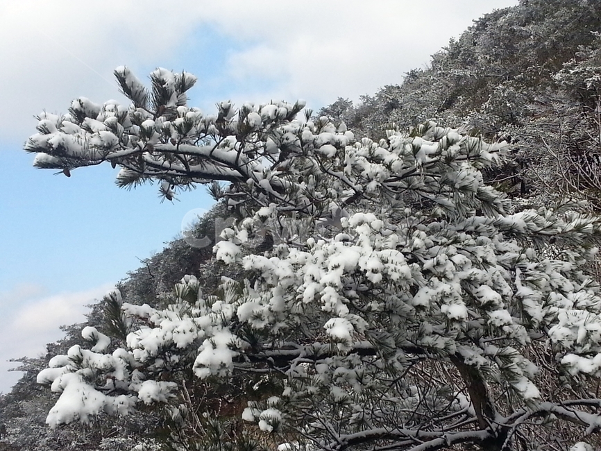 눈꽃,설경,눈,겨울산,풍경,겨울풍경,겨울,계절,winter,season,자연,풍경,nature,landscape