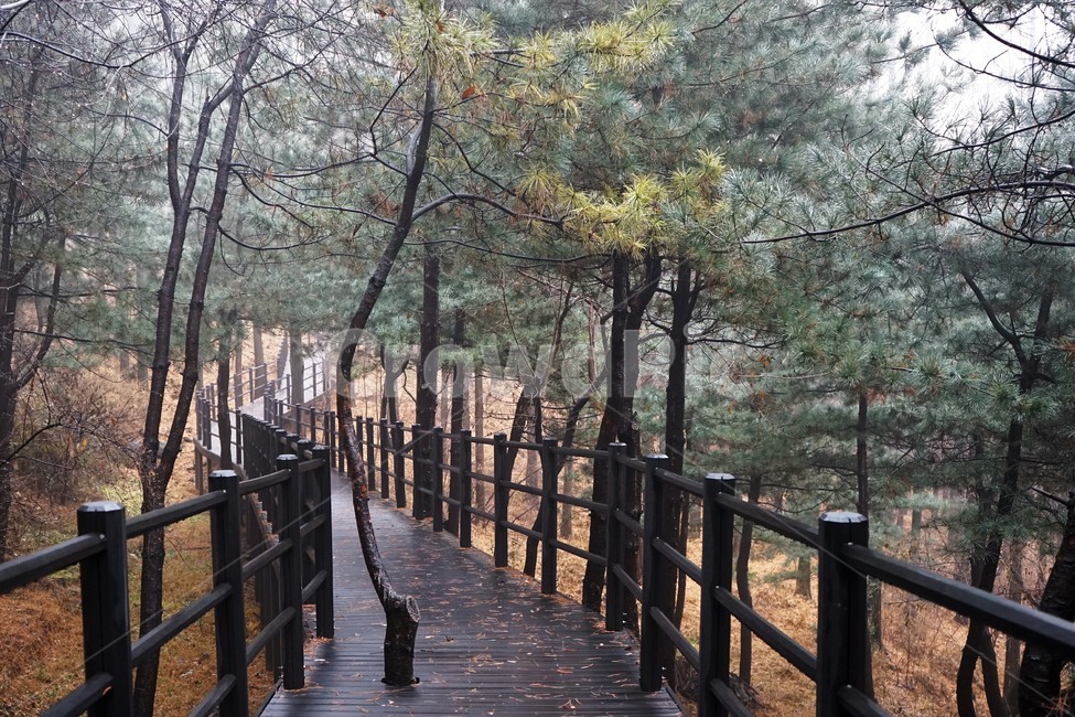 자락길,산책로,산책,겨울,낙엽,나무,숲,nature,path,trail,winter,fallenleaves,woods,railing,난간,boardwalk,bridge,다리,building,건물,handrail,banister