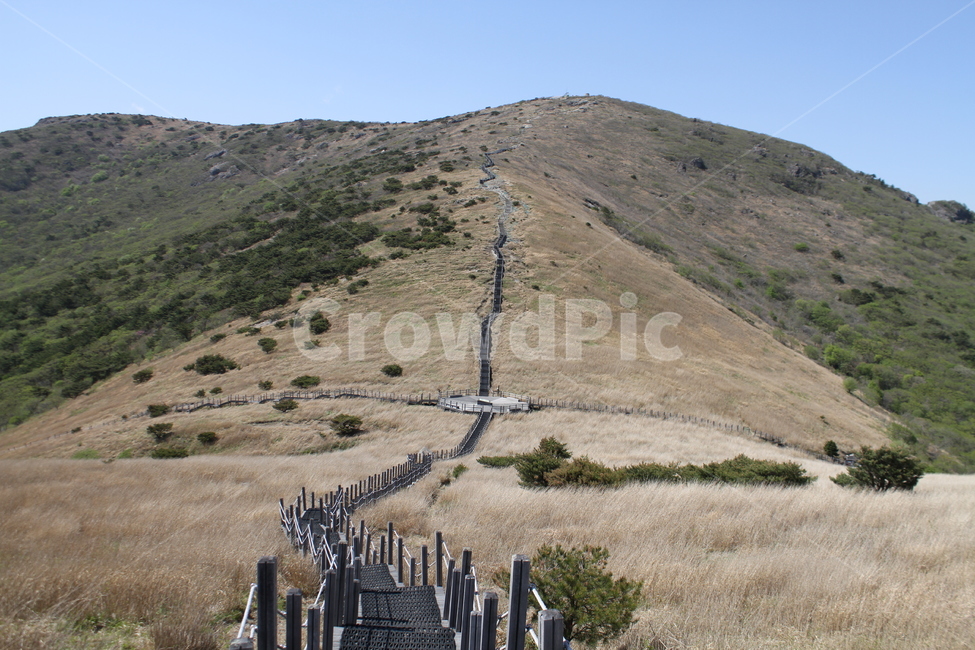 신불산,등산로,탐방로,영남알프스,mountaintrail,자연,풍경,nature,landscape,outdoors,옥외