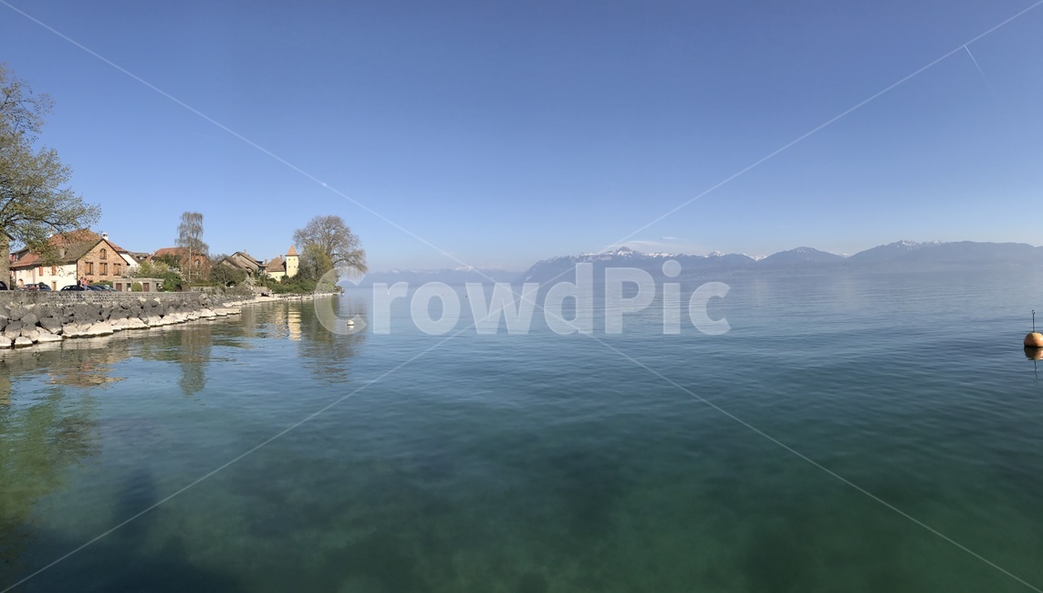 스위스,나무,풍경,호수,산,switzerland,tree,view,lake,morges,mountain,piecefull,고요,nature,자연,outdoors,옥외,조용한마을,마을,자연,풍경,nature,landscape