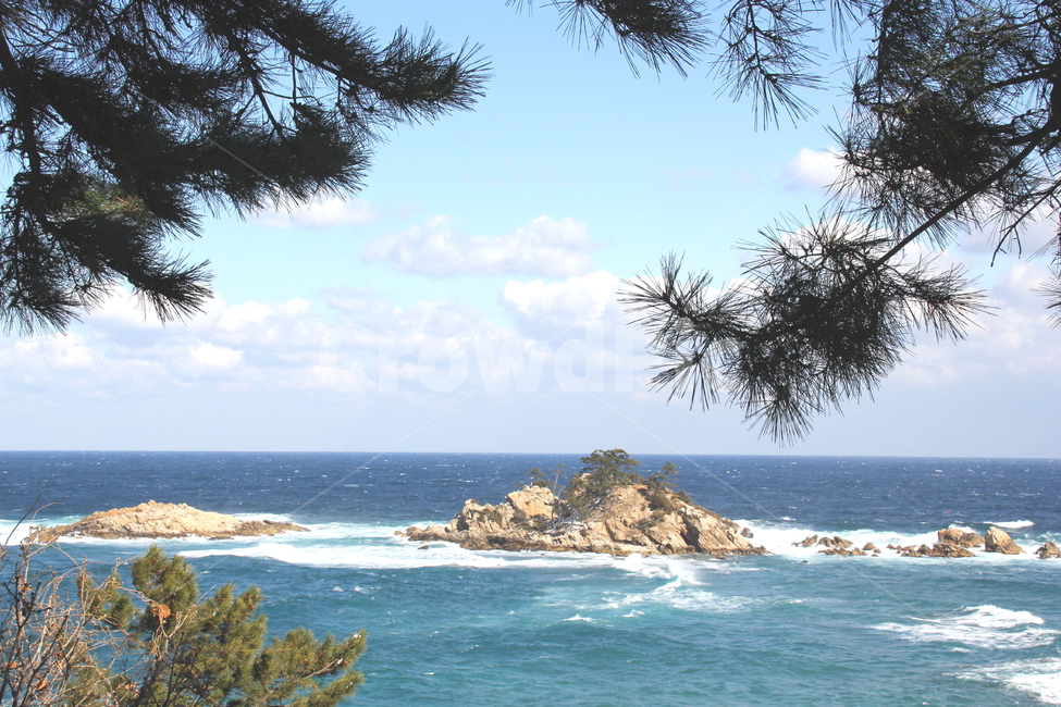바다,파도,자연,물,대양,자연,풍경,nature,landscape,land,땅,outdoors,옥외,ocean,sea,water,shoreline,해안선,coast,연안