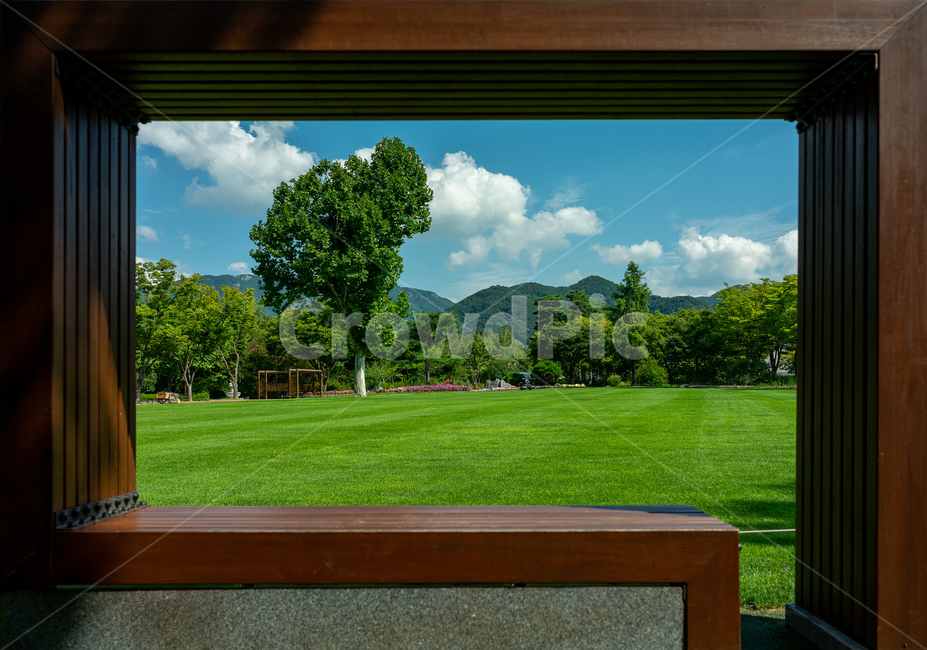 plant,식물,grass,lawn,잔디,대구수목원,나홀로나무,나무,tree,초록,초록색,green,하늘,sky,파랑,파랑색,blue