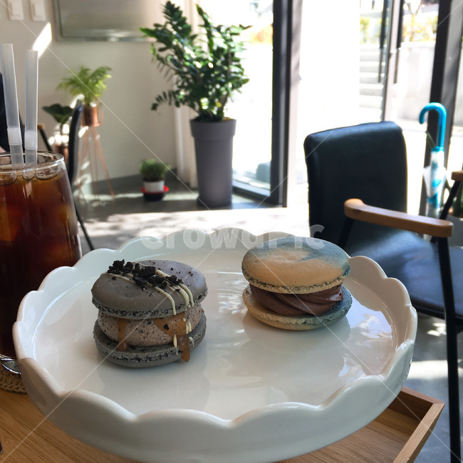 마카롱,아이스커피,카페,접시,dish,식물,디저트,간식,후식,dessert,snack