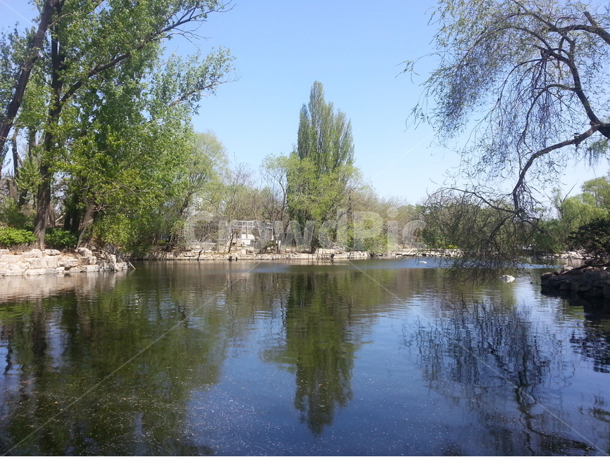 호수,중국,나무,물,lake,china,tree,water,풍경,landscape,자연,풍경,nature,landscape,outdoors,옥외