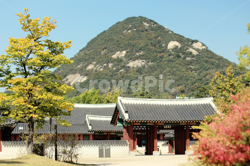 경복궁,가을경복궁,문화재,문화유산,감성사진,한국전통,한국문화,korean traditional,korean culture,랜드마크,landmark,tourist attraction,한국랜드마크,한국관광지,한국명소,korea landmark,korea tourist attraction,건축물,건물외관,exterior,building,structure,architecture,construction