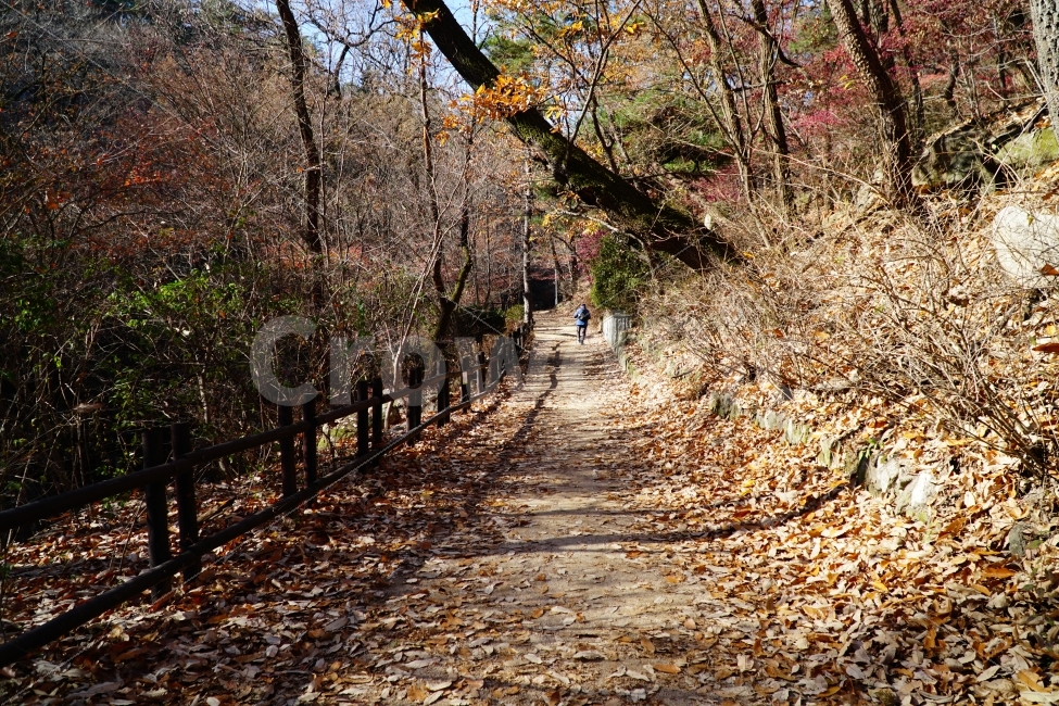 북한산,우이동,강북구,서울,가을,계절,낙엽,나무,자연,산길,사람,등산,숲,숲속,산림,seoul,korea,season,fall,autumn,tree,풍경,landscape,forest,people,감성,감성사진,스냅,스냅사진,산책,등산코스,쓸쓸한,쓸쓸하다,혼자,외로운,외롭다,11월,mountain,outdoor,아웃도어,nature,걷기,walk,한국,trekking,트레킹,한국자연,가을,계절,fall,autumn,season,자연,풍경,nature,landscape,path,통로,plant,식물