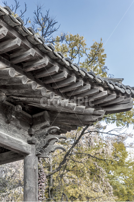 무단청,처마,추녀,전통가옥,고택,선,한국전통,한국문화,korean traditional,korean culture,건축물,건물외관,exterior,building,structure,architecture,construction