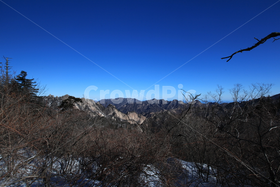 설악산,겨울산,파란하늘,겨울나무,능선,대청봉,겨울산행,등산,겨울,계절,winter,season,자연,풍경,nature,landscape,outdoors,옥외,mountain range,산맥,mountain,산