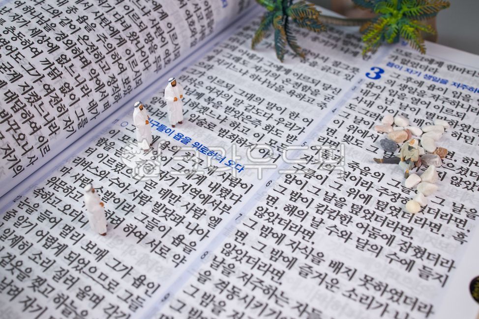 성경,구약성경,욥기,욥과세친구,성경말씀,말씀,묵상,고난,말씀묵상,개신교,기독교,욥,구약,성경공부,본문