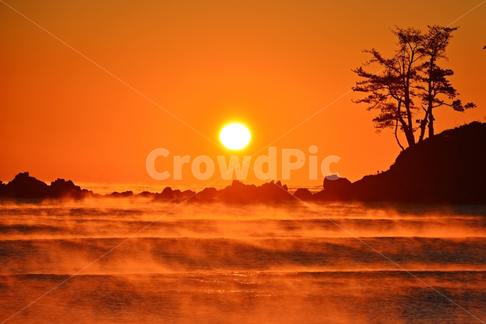 nature,자연,outdoors,옥외,sky,하늘,dawn,새벽,redsky,붉은하늘,sunlight,햇빛,울산,울주,명선도,명선도아침,일출,해돋이,여명,소나무,물안개,파도,강양항,자연,풍경,nature,landscape