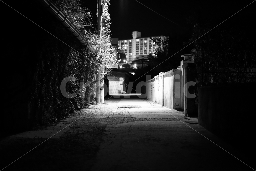 밤,야간,흑백,골목,골목길,도시,풍경,city,landscape,한국도시풍경,한국도시경관,korea cityscape,골목길,alley,흑백,모노톤,monochrome,black and white,road,도로,building,건물,시티,town,urban,어반,street,거리