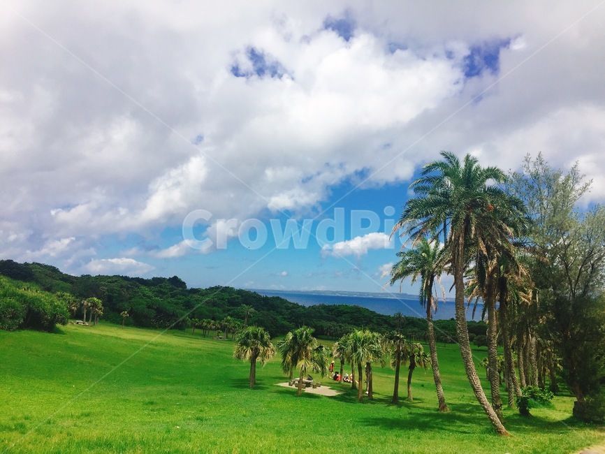대만,구름,야자수,여름,타이완,자연,풍경,nature,landscape,해외,외국,세계,foreign,oversea,world,세계자연풍경,해외자연풍경,외국자연풍경,world nature landscape,summer