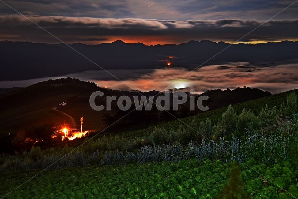 안반데기,고랭지,야경,여름,불빛,자연,풍경,nature,landscape,flare,플레어,light,빛,outdoors,옥외
