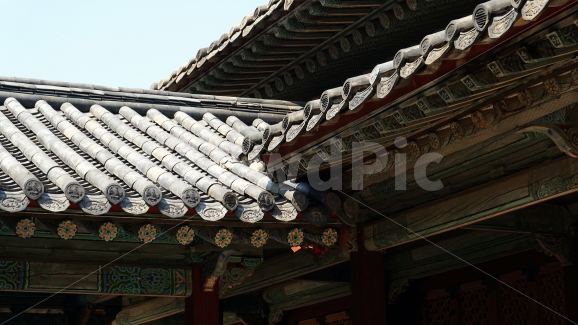 Art,Historic sites,dragon,construct,building,Cultural Heritage,Korean nature,tile,sight,tradition,Shipbuilding,crest,sky,roof,Changgyeonggung Palace,Palace,nature,tree,descending ridge,history,Korean culture,kingdom,Chunyeomaru,Joseon Dynasty,phoenix,kore