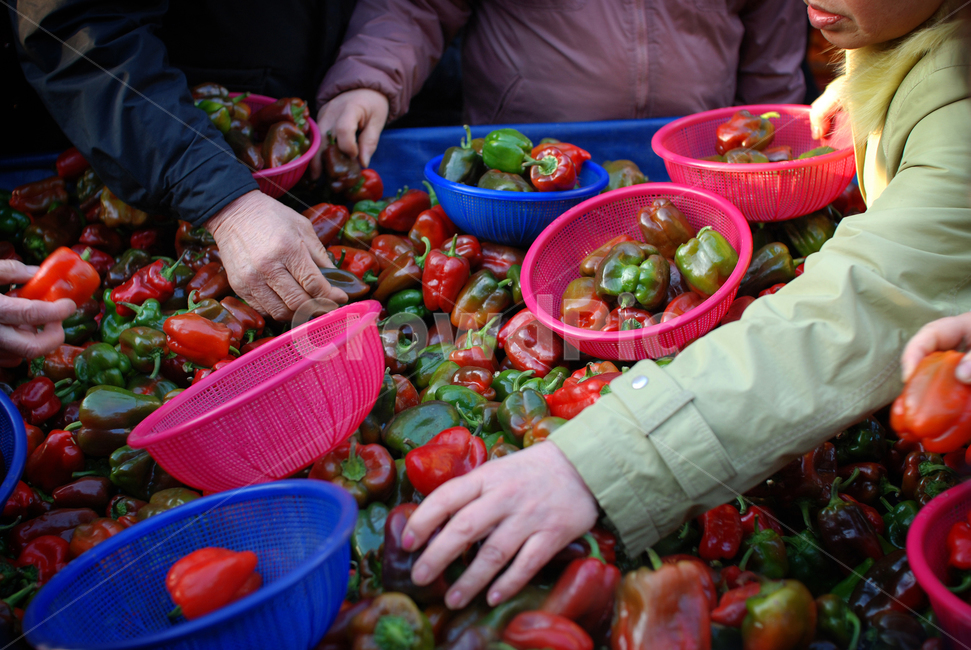 시장,파프리카,야채,재래시장,market,marketplace,장터,human,인간,person,사람,paprika,시장,마트,마켓,market,mart,market place