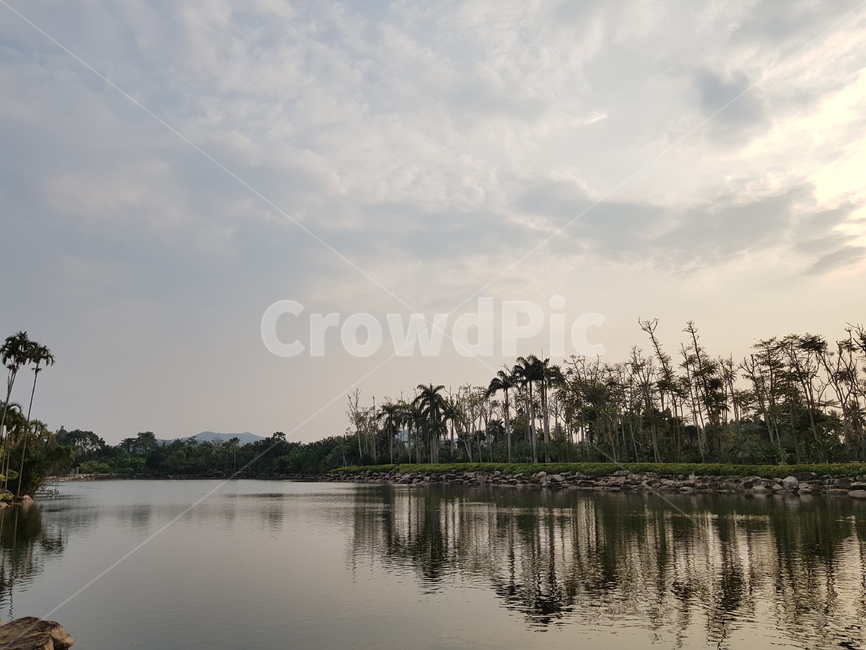 노을,자연,감성,조화,일몰,나무,호수,자연,풍경,nature,landscape,land,땅,outdoors,옥외,water,물