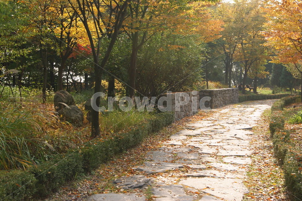 자연,풍경,landscape,nature,휴식,rest,season,가을,산책,힐링,산책로,남산,단풍,공원,숲길