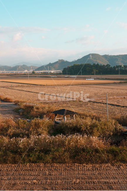 순천만,습지,갈대밭,갈대,구름,밭,정자,산,하늘,풍경,배경화면,sky,landscape,blue,cloud,가을,계절,fall,autumn,season,자연,풍경,nature,landscape,식물,plants,산업,industry,industrial,농업,농사,agriculture,farming,farming industry,outdoors,옥외
