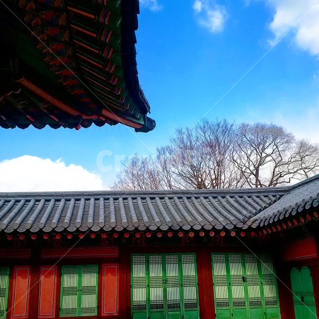 경복궁,처마,궁궐,하늘,나무,궁