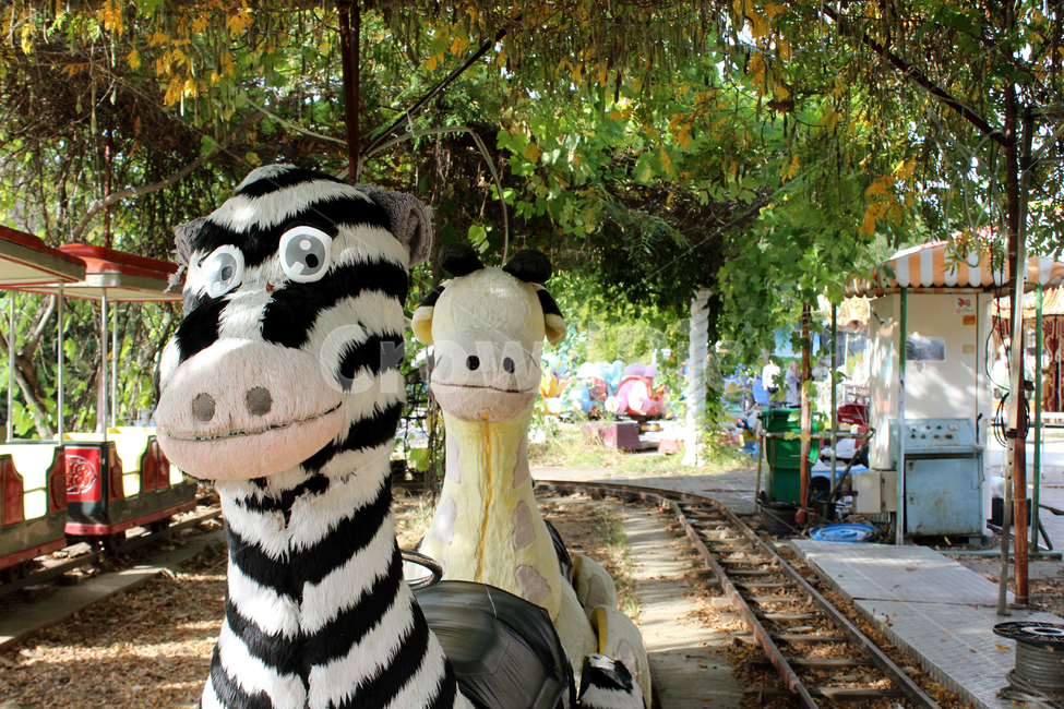 놀이공원,얼룩말,버들나무,풀,얼룩,놀이공원,놀이동산,놀이터,amusement park,playground