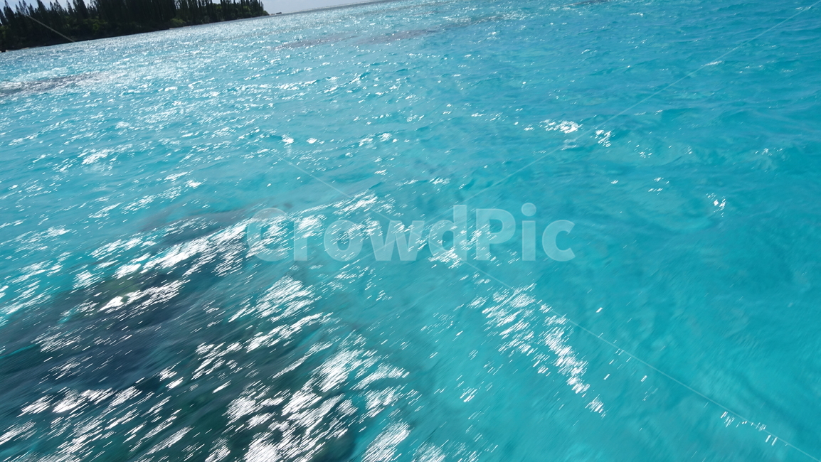 turquoiseblue,blue,파랑,푸른색,바다,sea,ocean,휴양지,남태평양,summer,여름,휴가,vacation