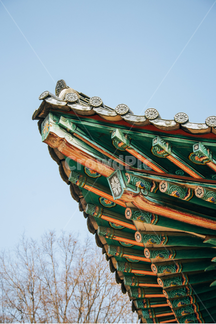 한옥,처마,기와,단청,한국,문화재,전통,하늘,나무,목조건물,한국전통,한국문화,korean traditional,korean culture,건축물,건물외관,exterior,building,structure,architecture,construction