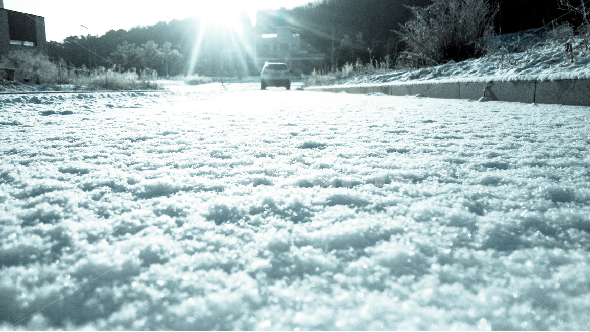 눈,눈온아침,반사,흰색,겨울,가루,빛,길,겨울,계절,winter,season,자연,풍경,nature,landscape,light,flare,플레어,outdoors,옥외