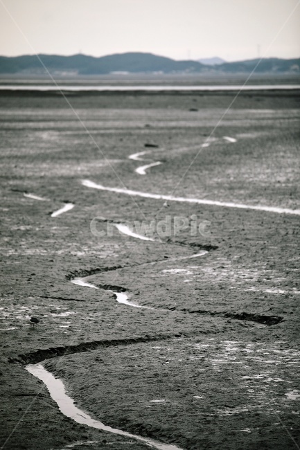 갯벌,바닷가,썰물,mudflat,자연,야외,outdoors,자연,풍경,nature,landscape