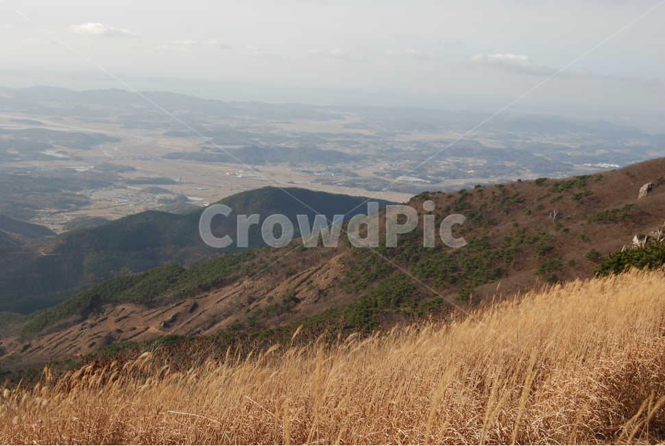 오서산,자연휴양림,보령시,100대명산,등산로,자연,풍경,nature,landscape,한국자연풍경,한국자연경관,korea nature landscape,outdoors,옥외,hill,언덕,slope,경사