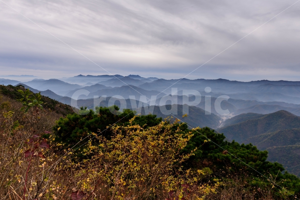 일출,운해,풍경,풍경사진,일출사진,자연,풍경,nature,landscape,outdoors,옥외,mountain range,산맥,mountain,산