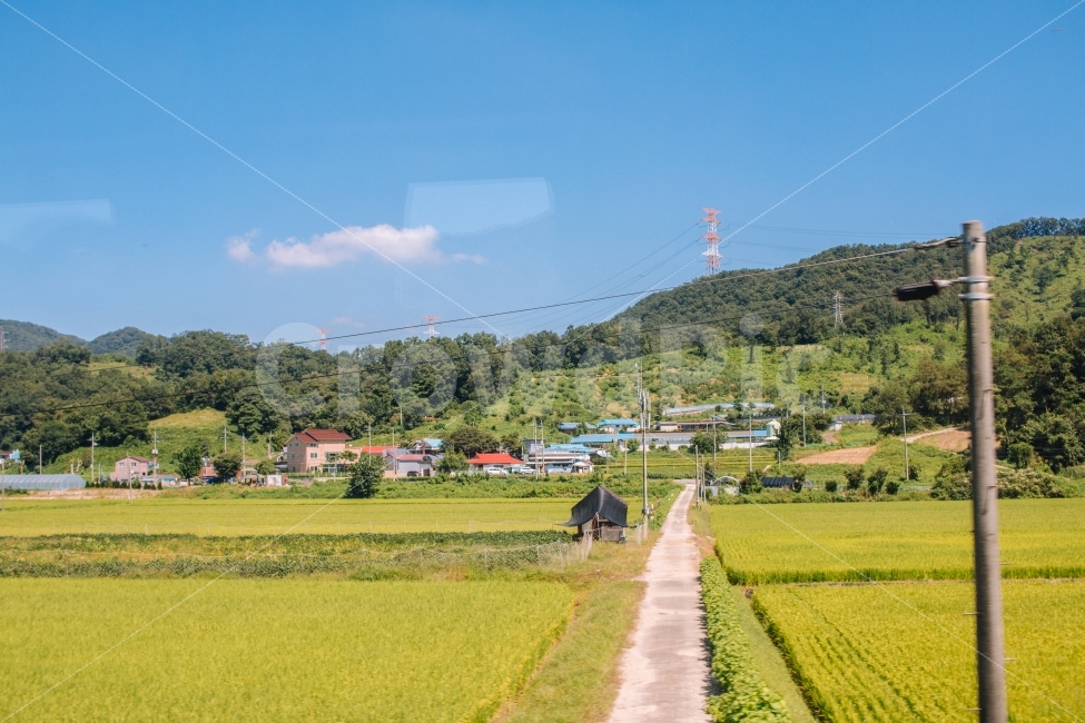농촌,논,하늘,구름,시골,길,시골길,sky,korea,시골,마을,풍경,landscape,country,rural,town,감성,sensible,feeling