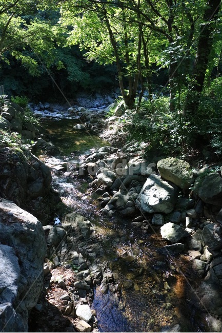 산,나무,초록,자연,식물,햇빛,여름,mountain,yama,tree,ki,green,midori,nature,plants,shokubutsu,sunlight,hizashi,summer,natsu,계곡,물,valley,keikoku,water,mizu,돌,바위,stone,rock,ishi,iwa,여름,계절,summer,season,자연,풍경,nature,landscape,outdoors,옥외,stream,흐름,creek,작은 만