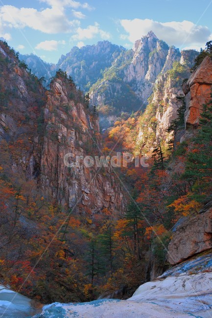 산,자연,숲,가을,등산,가을,계절,fall,autumn,season,자연,풍경,nature,landscape,outdoors,옥외,mountain,art,미술,painting,그림