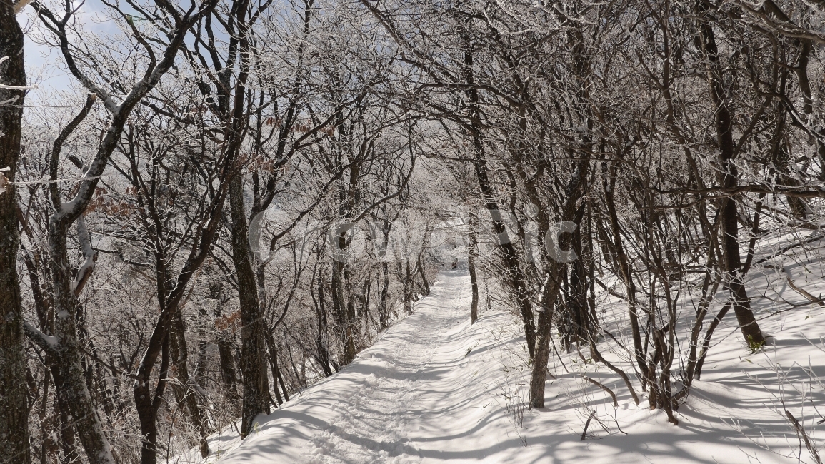 겨울산,눈산,눈꽃,산,경치,풍경,자연,여행겨울,겨울,계절,winter,season,자연,풍경,nature,landscape,식물,plants,나무,trees,wood,tree,plant,outdoors,옥외